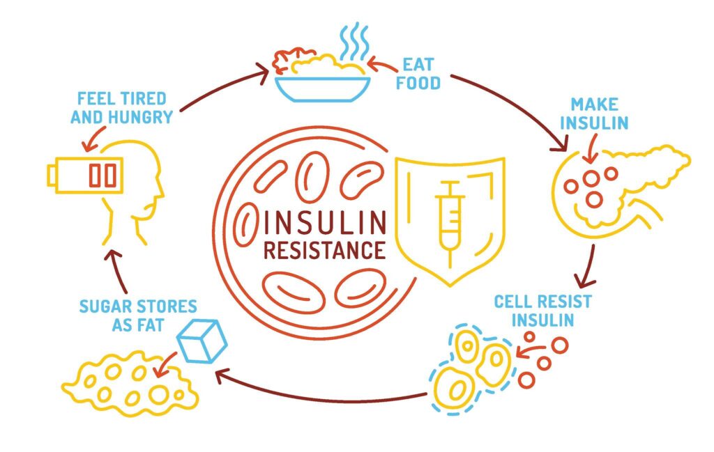How Supplements Support Blood Sugar Infographic