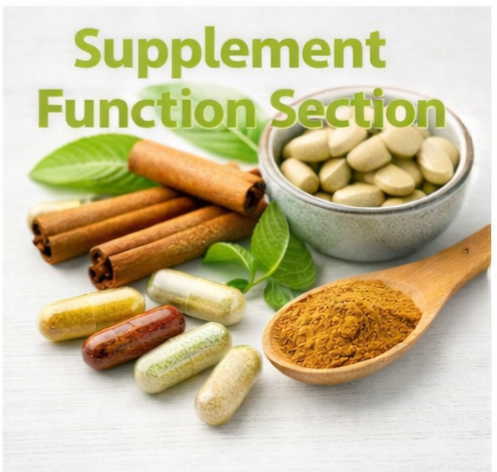 Blood Sugar Support Supplements Review [2026 Guide] Supplements Functional infographic
